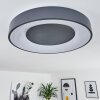 Casina Ceiling Light LED anthracite, white, 1-light source, Remote control