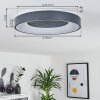 Casina Ceiling Light LED anthracite, white, 1-light source, Remote control
