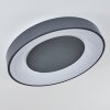 Casina Ceiling Light LED anthracite, white, 1-light source, Remote control