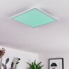 Gallitos Ceiling Light LED white, 1-light source, Remote control, Colour changer
