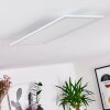 Gallitos Ceiling Light LED white, 1-light source, Remote control, Colour changer