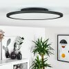 Nexo Ceiling Light LED black, 1-light source, Remote control