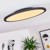 Nexo Ceiling Light LED black, 1-light source, Remote control