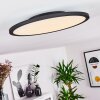 Nexo Ceiling Light LED black, 1-light source, Remote control
