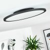 Nexo Ceiling Light LED black, 1-light source, Remote control