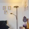 Rabeja Floor Lamp LED brass, 2-light sources