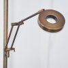 Rabeja Floor Lamp LED brass, 2-light sources