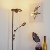 Rabeja Floor Lamp LED brass, 2-light sources
