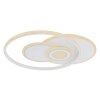Globo RODERICK Ceiling Light LED white, 1-light source, Colour changer