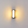 Arvier Outdoor Wall Light LED black, 1-light source