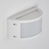 Pompeano Outdoor Wall Light LED white, 1-light source