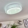 Suno Ceiling Light LED transparent, clear, white, 1-light source