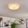 Suno Ceiling Light LED transparent, clear, white, 1-light source