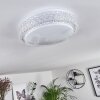 Suno Ceiling Light LED transparent, clear, white, 1-light source