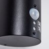 Solda Outdoor Wall Light black, 1-light source, Motion sensor