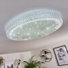 Suno Ceiling Light LED transparent, clear, white, 1-light source, Remote control