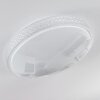 Suno Ceiling Light LED transparent, clear, white, 1-light source, Remote control