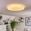 Suno Ceiling Light LED transparent, clear, white, 1-light source, Remote control