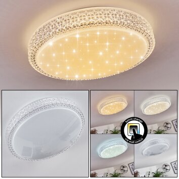 Suno Ceiling Light LED transparent, clear, white, 1-light source