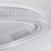 Feletto Ceiling Light LED transparent, clear, white, 1-light source, Remote control