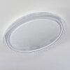 Feletto Ceiling Light LED transparent, clear, white, 1-light source, Remote control