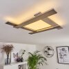 Cuchara Ceiling Light LED matt nickel, 1-light source