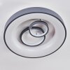 Gabbiana Ceiling Light LED grey, white, 1-light source, Remote control