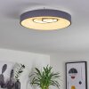 Gabbiana Ceiling Light LED grey, white, 1-light source, Remote control