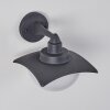 Spessa Outdoor Wall Light anthracite, 1-light source