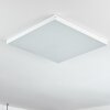 Pedemonte Ceiling Light LED white, 1-light source