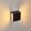 Fontanile Outdoor Wall Light LED black, white, 1-light source