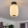 Sebep Ceiling Light LED black, 1-light source