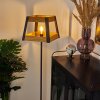 Tiflis Floor Lamp black, 1-light source