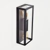 Caudry Outdoor Wall Light black, 2-light sources