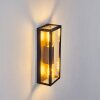 Caudry Outdoor Wall Light black, 2-light sources