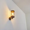 Riola Outdoor Wall Light rust-coloured, 1-light source