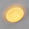 Rosenga Ceiling Light LED white, 1-light source, Remote control