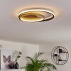 Trapani Ceiling Light LED gold, black, 1-light source, Remote control, Colour changer
