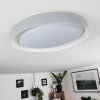 Beade Ceiling Light LED grey, white, 1-light source, Remote control, Colour changer