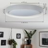 Beade Ceiling Light LED grey, white, 1-light source, Remote control, Colour changer