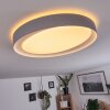 Beade Ceiling Light LED grey, white, 1-light source, Remote control, Colour changer