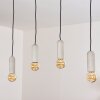 Nonume Pendant Light black, 4-light sources