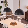 Teneru Pendant Light Dark wood, black, 2-light sources