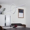 Alelua Pendant Light LED white, 1-light source, Remote control