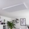 Cetara Ceiling Light LED grey, 1-light source, Remote control, Colour changer