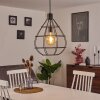 Alafe Pendant Light black, 1-light source