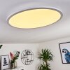 Sani Ceiling Light LED white, 1-light source, Remote control
