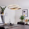 Rokera Pendant Light LED matt nickel, 1-light source