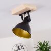 Tina Ceiling Light Dark wood, black, 1-light source