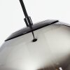 Ahanga Pendant Light black, 1-light source